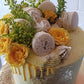 Create your own COLOR CAKE!